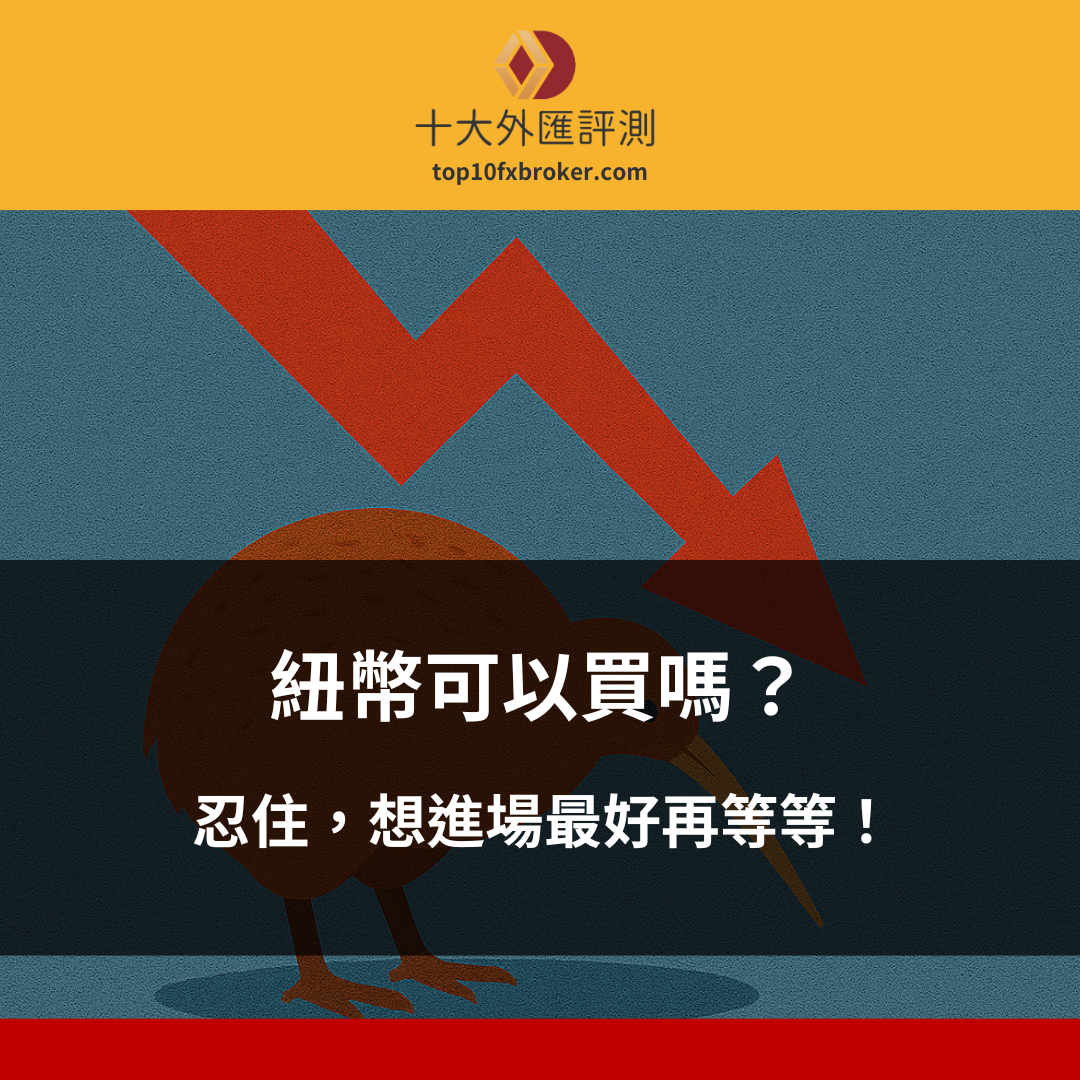 紐幣可以買嗎