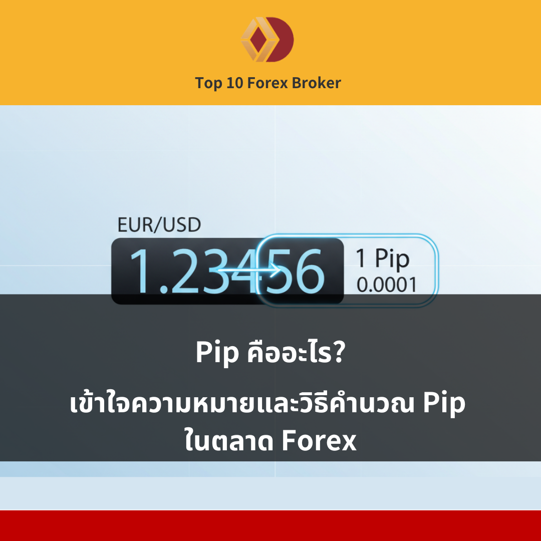 ภาพประกอบบทความ “pip คือ”